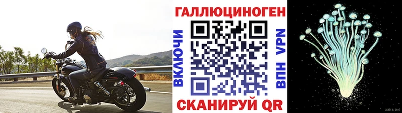 Псилоцибиновые грибы ЛСД Владикавказ