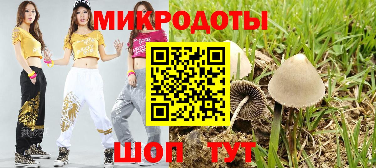 Псилоцибиновые грибы прущие грибы Владикавказ